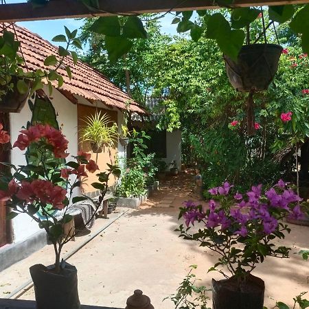 Mamisa Cafe, Home Stay Habarana Exteriér fotografie