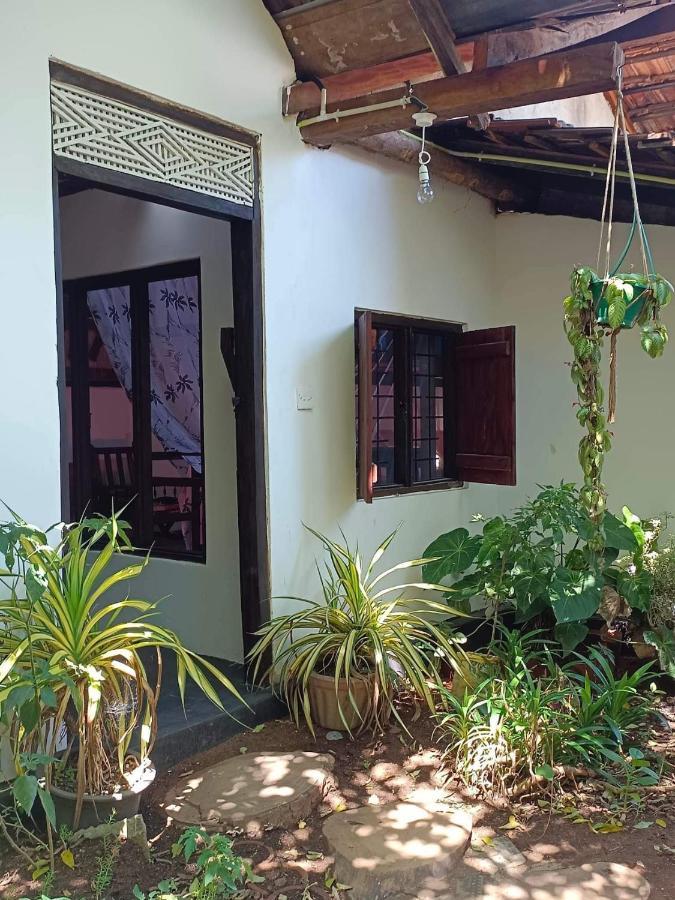 Mamisa Cafe, Home Stay Habarana Exteriér fotografie