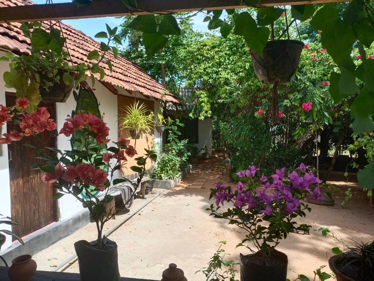 Mamisa Cafe, Home Stay Habarana Exteriér fotografie